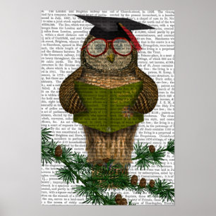 Póster Owl Leyendo en la rama