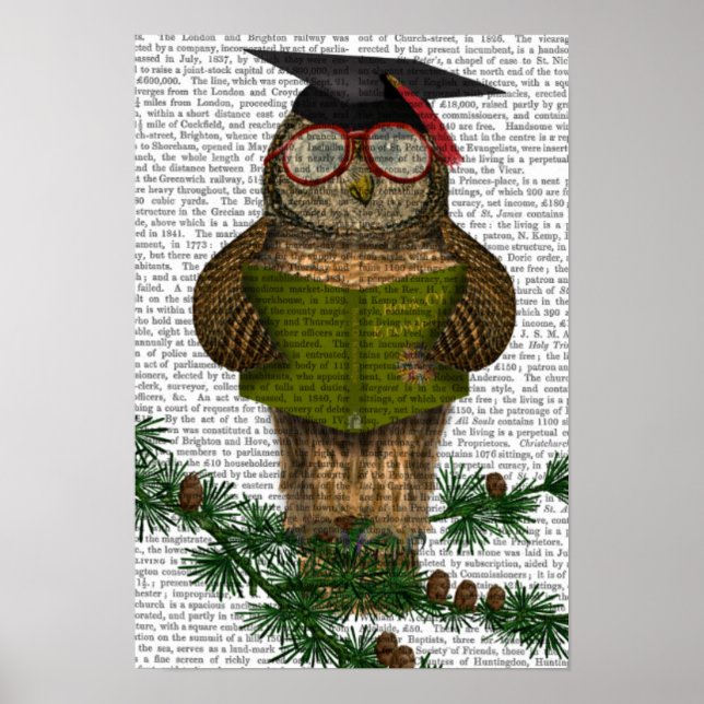 Póster Owl Leyendo en la rama (Frente)