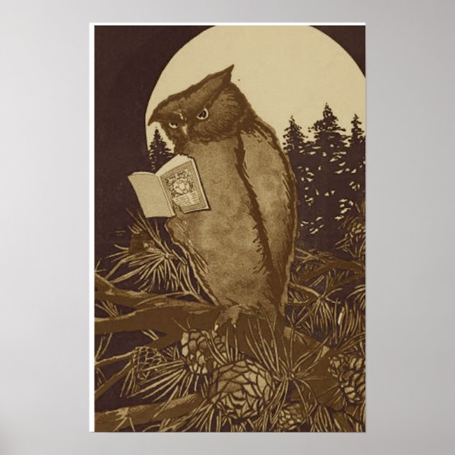 Póster Owl leyendo un libro de Moonlight (Frente)