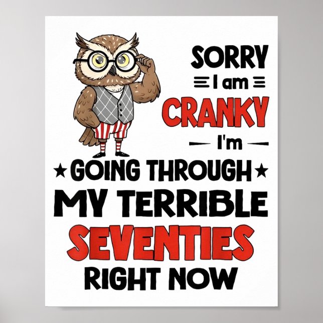 Póster Owl Sorry I'm Cranky I'm Going Through My Terrible (Frente)