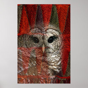 Póster Owl Spirit por Gregory Gallo