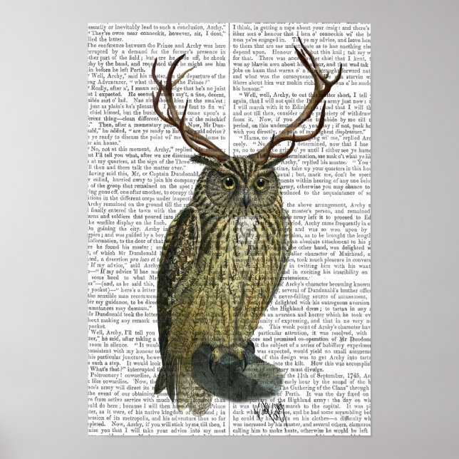 Póster Owl with Antlers (Frente)