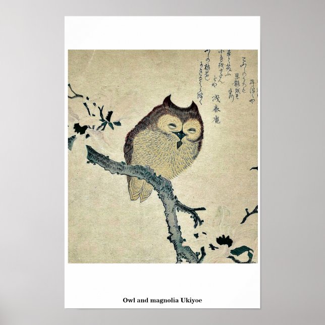 Póster Owl y magnolia Ukiyoe (Frente)