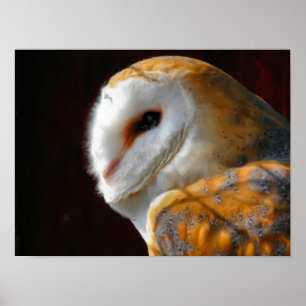 PÓSTER OWLS