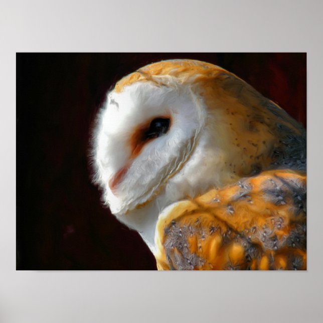 PÓSTER OWLS (Frente)