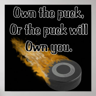 Póster Own The Puck