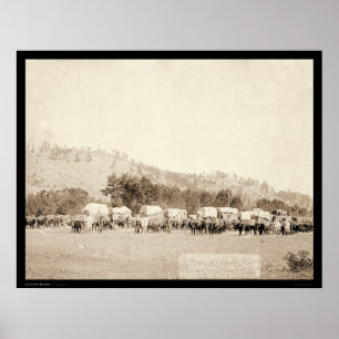 Póster Ox Teams Freighting in Valley Black Hills SD 1887