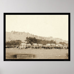 Póster Ox Teams & Wagons Freighting Black Hills SD 1887