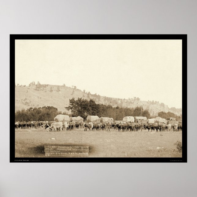 Póster Ox Teams & Wagons Freighting Black Hills SD 1887 (Frente)