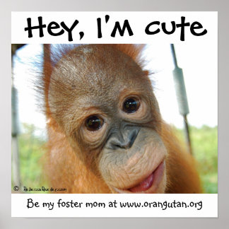 Póster Oye, soy el bebé Orangutan