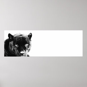 Póster Oyes Jaguar Pop Art