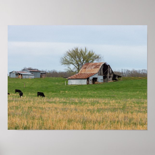 Póster Ozark Old Farm (Frente)