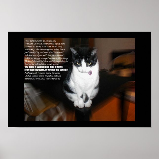 Póster ozymandias (Frente)