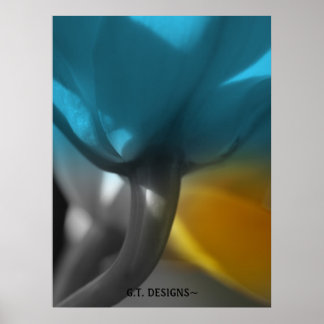 Póster P1016531-1, G.T. DISIGNS~Colección de vistas de or