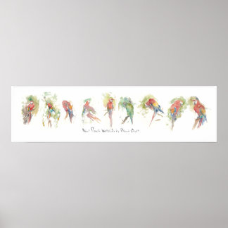 Póster P3, Nueve loros, acuarela de Dennis Boyce