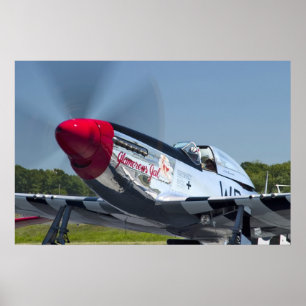 PÓSTER P51