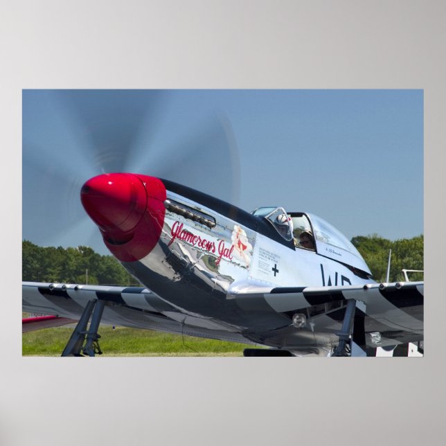 PÓSTER P51 (Frente)