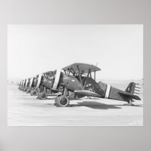 PÓSTER P-12