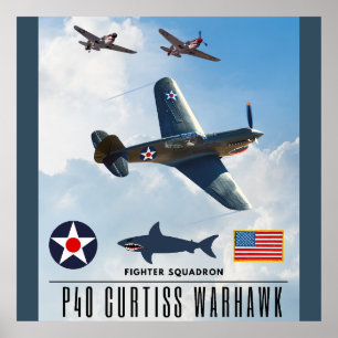 PÓSTER P-40 CURTISS WARHAWK FIGHTER SQUADRON