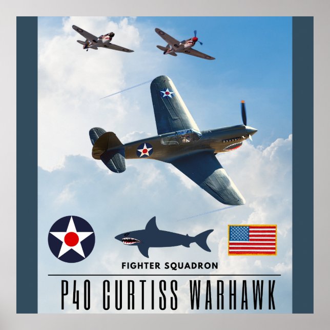 PÓSTER P-40 CURTISS WARHAWK FIGHTER SQUADRON (Frente)