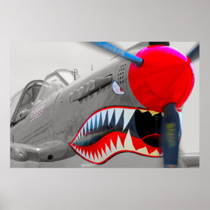 PÓSTER P-40 WARHAWK