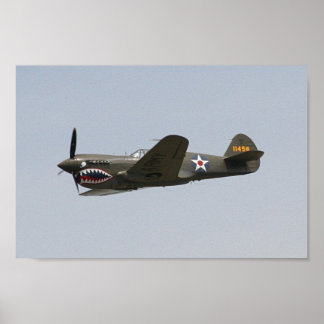 Póster P-40 Warhawk