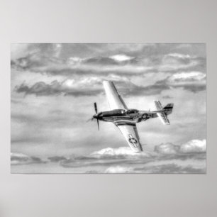PÓSTER P-51