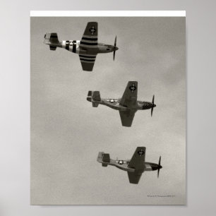 Póster P-51 B y P51D Mustang
