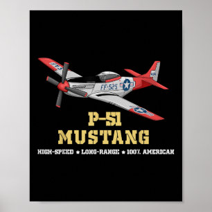 Póster P-51 Bombardero para Combatientes de la Segunda Gu