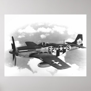 Póster P-51 Mustang