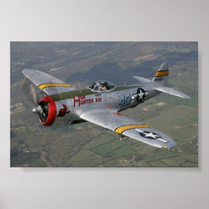 Póster p-51 Mustang