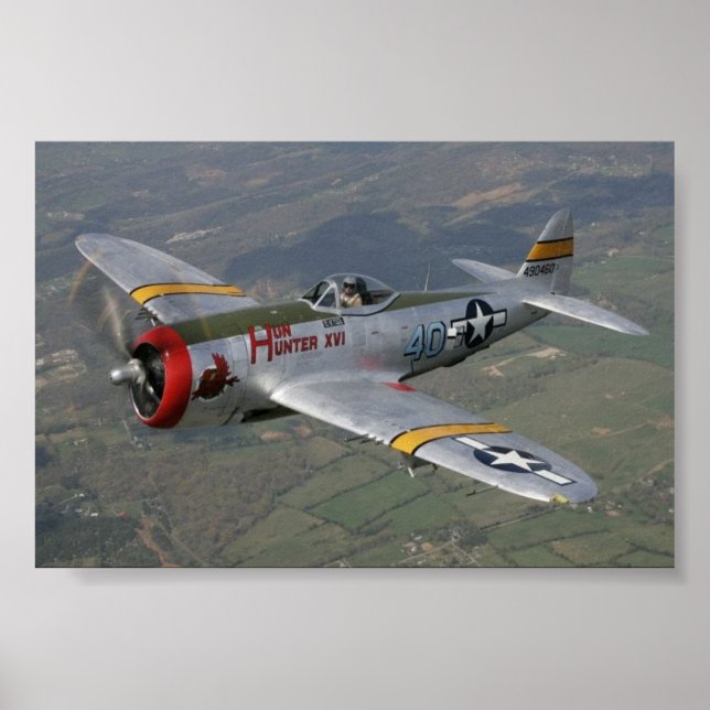 Póster p-51 Mustang (Frente)