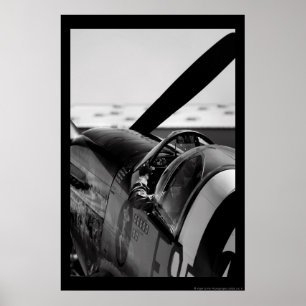 Póster P-51B Mustang
