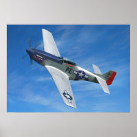 P-51D "Cripes A' Mighty"