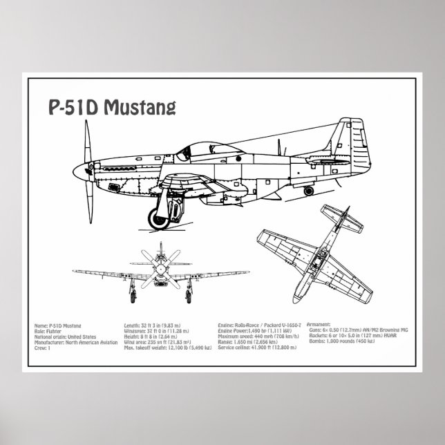 Póster P-51D Mustang - Plano aéreo BD (Frente)