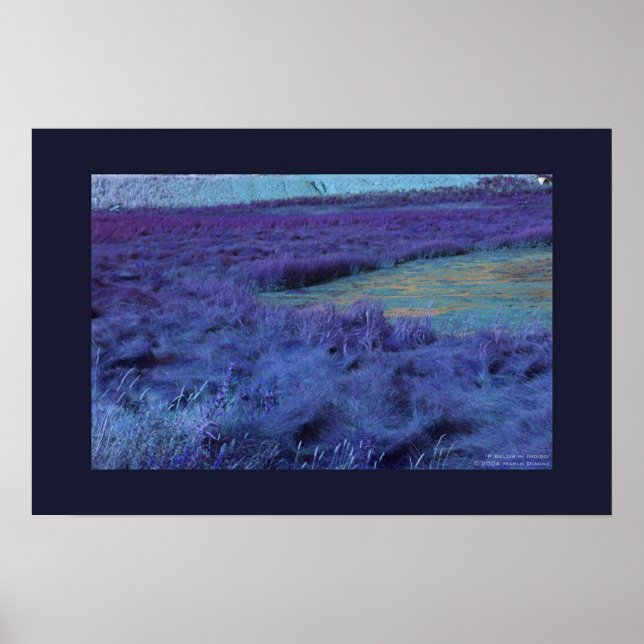 Póster P Abajo en Índigo (Frente)