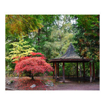 Pabellón del Jardín Japonés y Hojas de Otoño