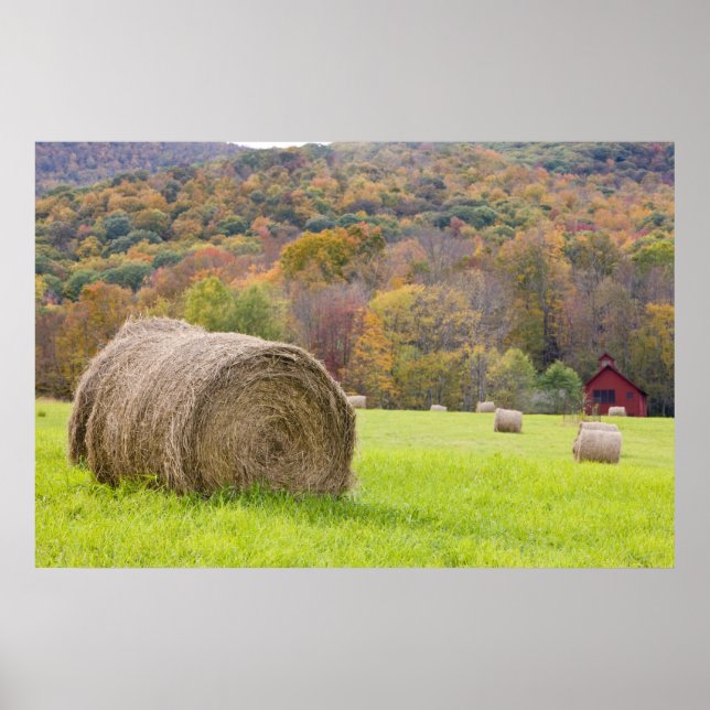 Póster Pacas de heno y follaje de otoño en granja, (Frente)