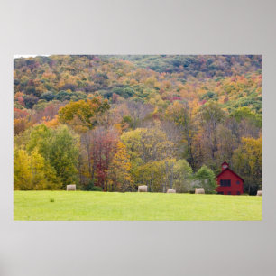 Póster Pacas de heno y follaje de otoño, en una granja en