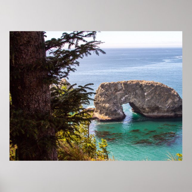 Póster Pacic Northwest Print, Value Poster Paper (Matte) (Frente)