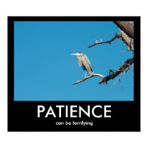 PACIENCIA, puede ser un Poster desmotivacional ate