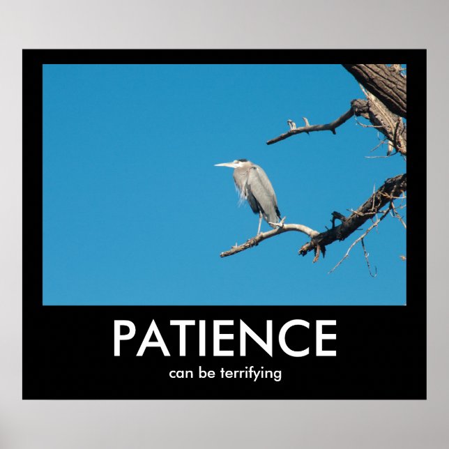 Póster PACIENCIA, puede ser un Poster desmotivacional ate (Frente)