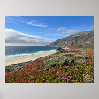 Póster Pacific Coast