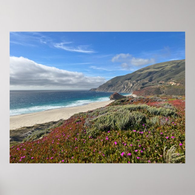 Póster Pacific Coast (Frente)