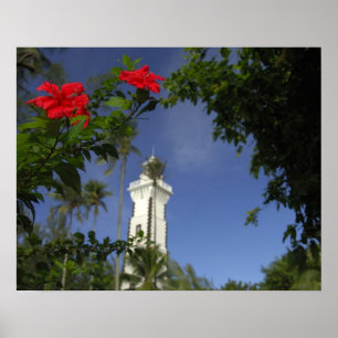 Póster Pacífico Sur, Polinesia Francesa, Tahití. Hibiscus