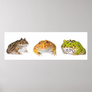Póster Pacman Poster Panorama