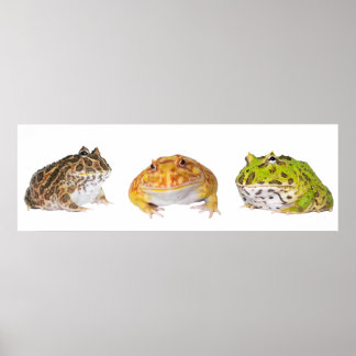 Póster Pacman Poster Panorama