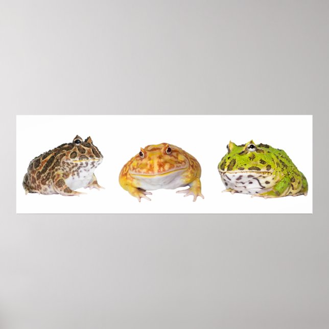 Póster Pacman Poster Panorama (Frente)