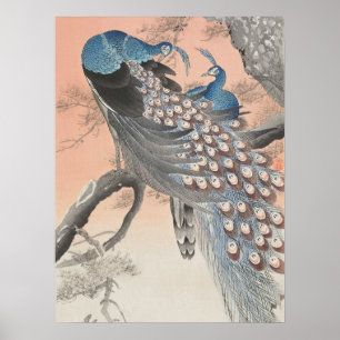 Póster Pacocas Japonesas En El Árbol Por Ohara Koson Art