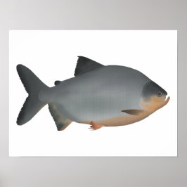 Póster Pacu